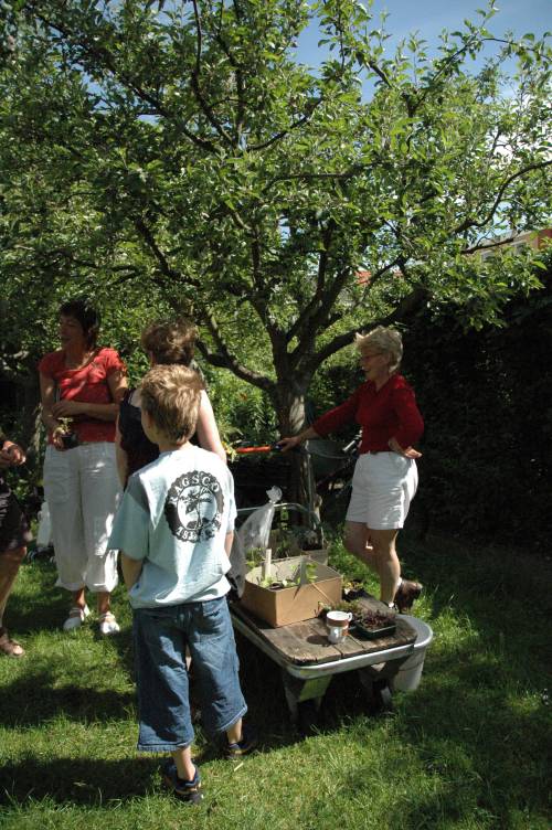 050529.Bikkershof 001.jpg