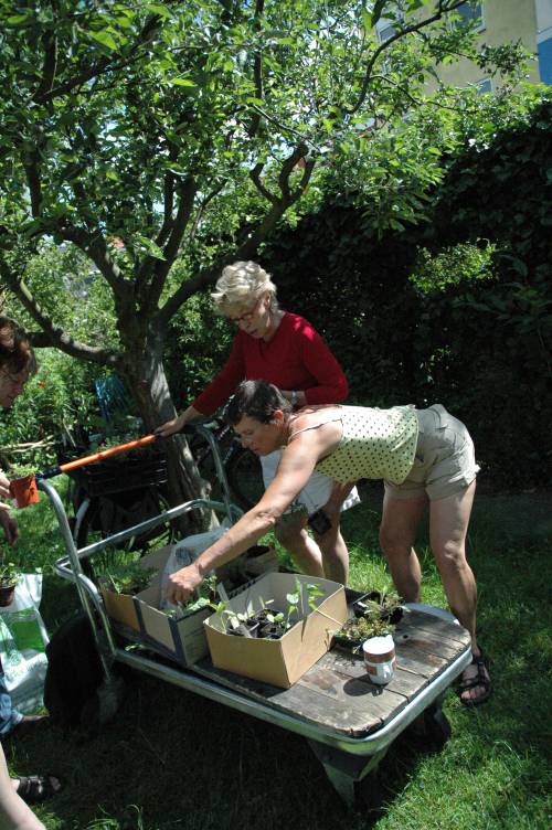 050529.Bikkershof 010.jpg