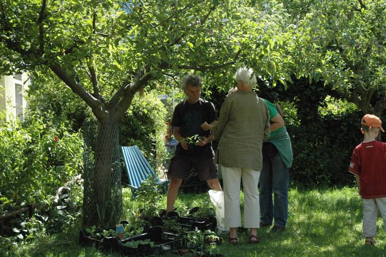 050529.Bikkershof 032.jpg