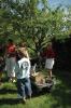 050529.Bikkershof 001.jpg