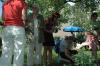 050529.Bikkershof 022.jpg
