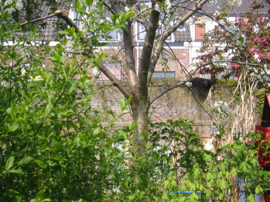 Img_1440.jpg
