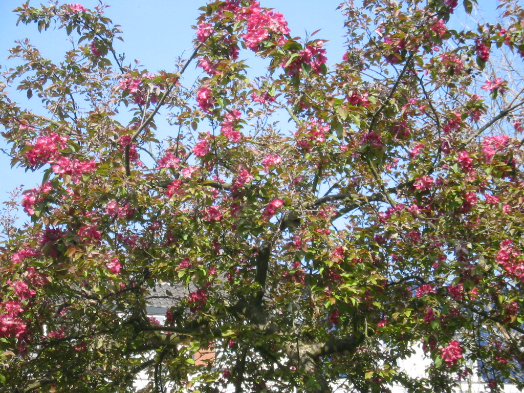Img_1442.jpg