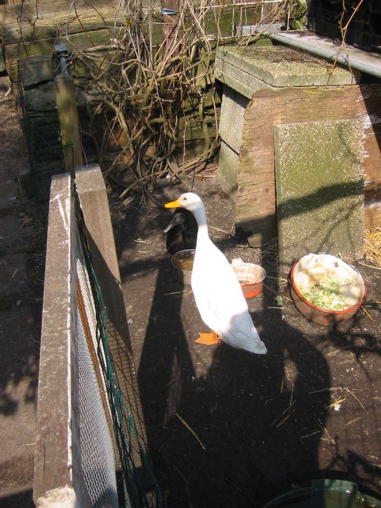 Img_1446.jpg